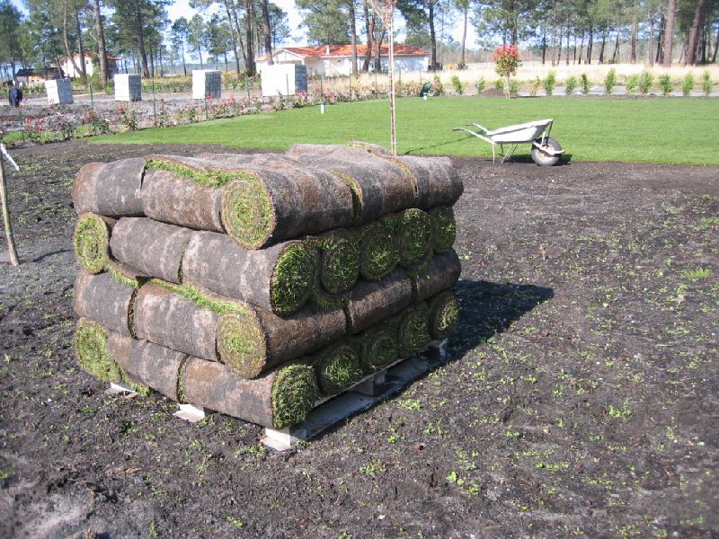 gazon en plaques