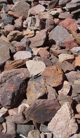 Pétales de schist